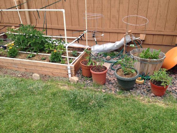 Raised Garden Bed