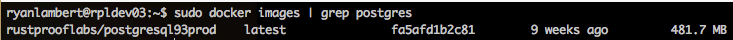 PostgreSQL Docker Image