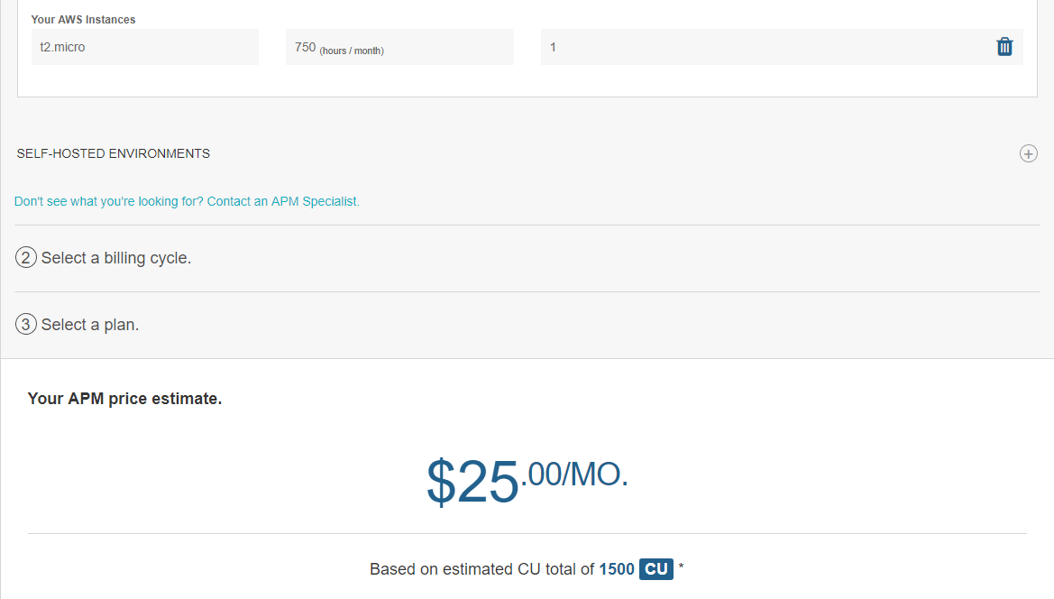 NewRelic APM Pricing - One AWS Instance