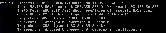 Test Settings using ifconfig Screenshot