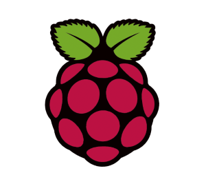 Raspberry Pi Logo (Small)