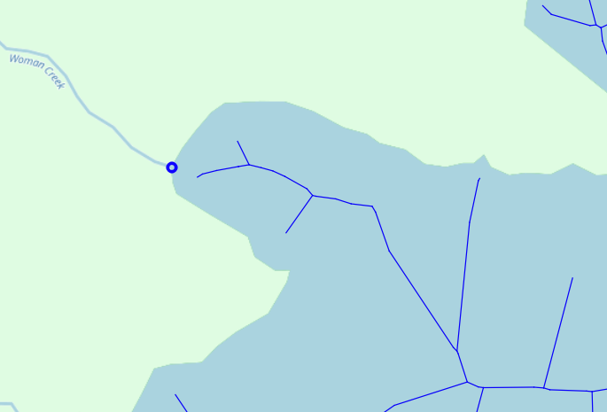 Screenshot from QGIS showing that the points intersecting polygons and the medial axis lines are close to each other, but not touching.